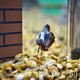 Image for article titled Watch A Super Mario Bros. Aquarium Get Built From Scratch